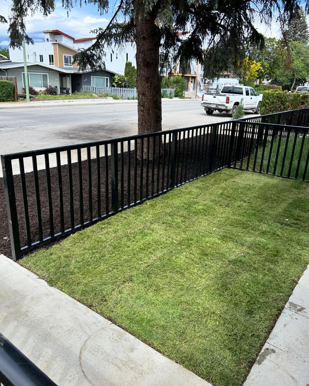 Fresh Sod Installation